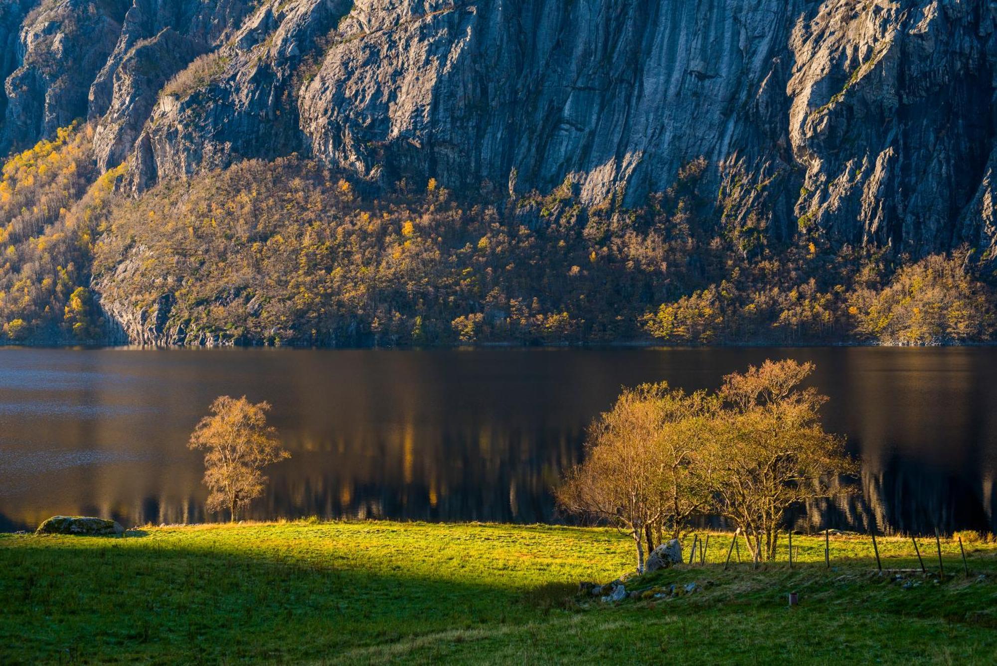Hytte Ved Preikestolen Forsand Luaran gambar