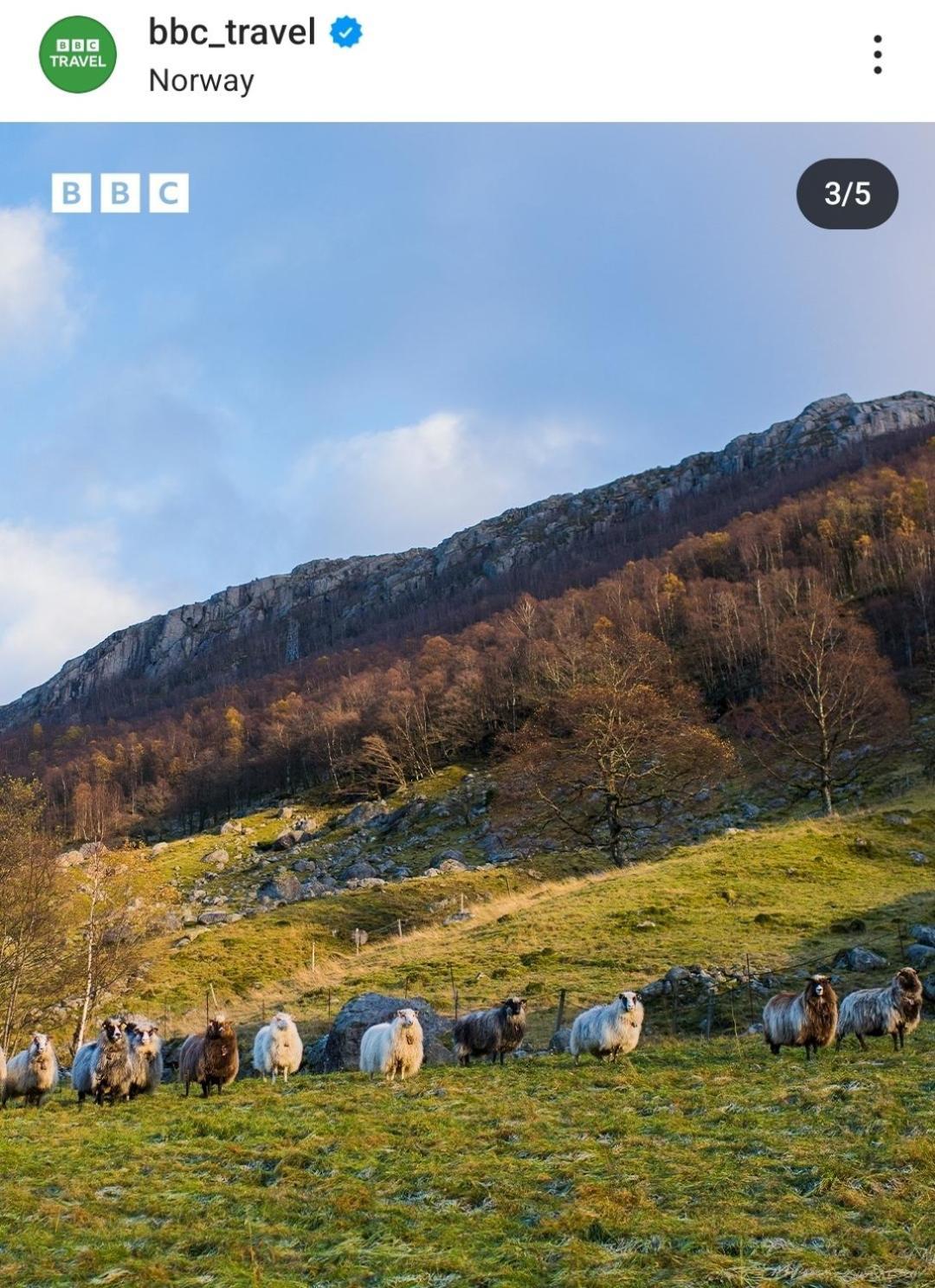 Hytte Ved Preikestolen Forsand Luaran gambar